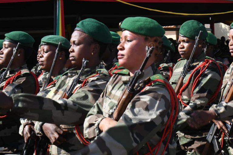 Classement des puissances militaires africaines en selon Global Fire Power Actualité